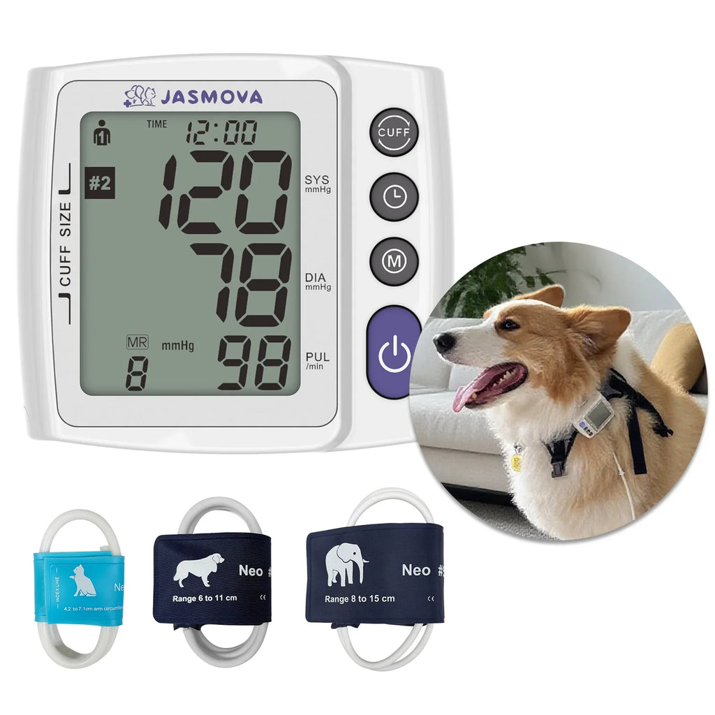 The Silent Killer: Why Home Blood Pressure Monitoring is a Lifesaver for Your Senior Pet