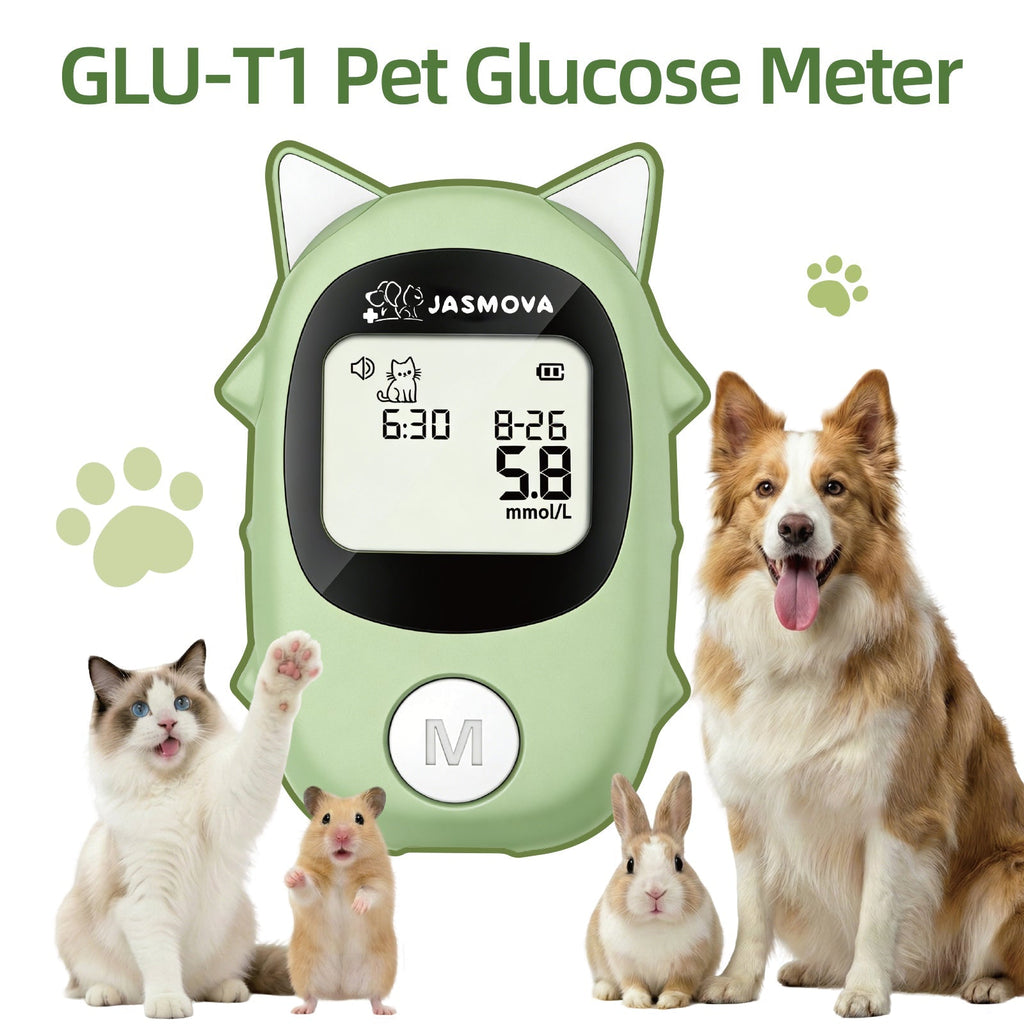 Understanding Pet Diabetes: How Smart Glucose Monitoring Helps Dogs and Cats Live Healthier Lives