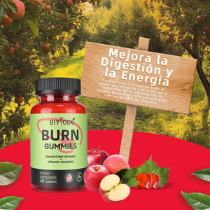 Apple Cider Vinegar Gummies,Burn Gummies,Apple Cider Vinegar Gummies,Formulated to Support Normal Energy Levels & Gut Health,Citrus Tea Polyphenol,Vitamin Complex Gummies(60 Gummies)