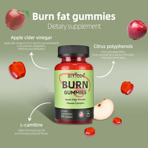 Apple Cider Vinegar Gummies,Burn Gummies,Apple Cider Vinegar Gummies,Formulated to Support Normal Energy Levels & Gut Health,Citrus Tea Polyphenol,Vitamin Complex Gummies(60 Gummies)