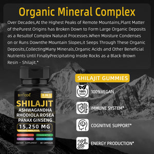 Shilajit Capsules for Man 8-in-1 Shilajit 9000 Ashwagandha 2000 Rhodiola Rosea 1000 Ginseng 1500 Cordyceps Mushroom 500 Ginkgo Biloba 500 Stinging Nettle 250 Turmeric 60 Capsules 30 Day Supply