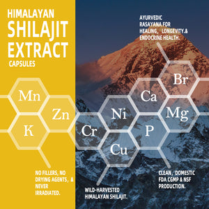 Shilajit Capsules for Man 8-in-1 Shilajit 9000 Ashwagandha 2000 Rhodiola Rosea 1000 Ginseng 1500 Cordyceps Mushroom 500 Ginkgo Biloba 500 Stinging Nettle 250 Turmeric 60 Capsules 30 Day Supply