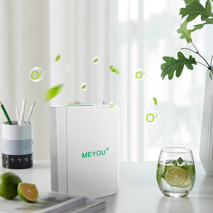 lightweight portable oxygen concentrator